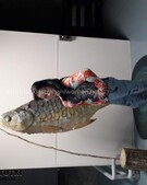 Анкета проститутки Наталья - метро Дорогомилово, возраст - 27